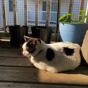 Meet your Posher, Bethany